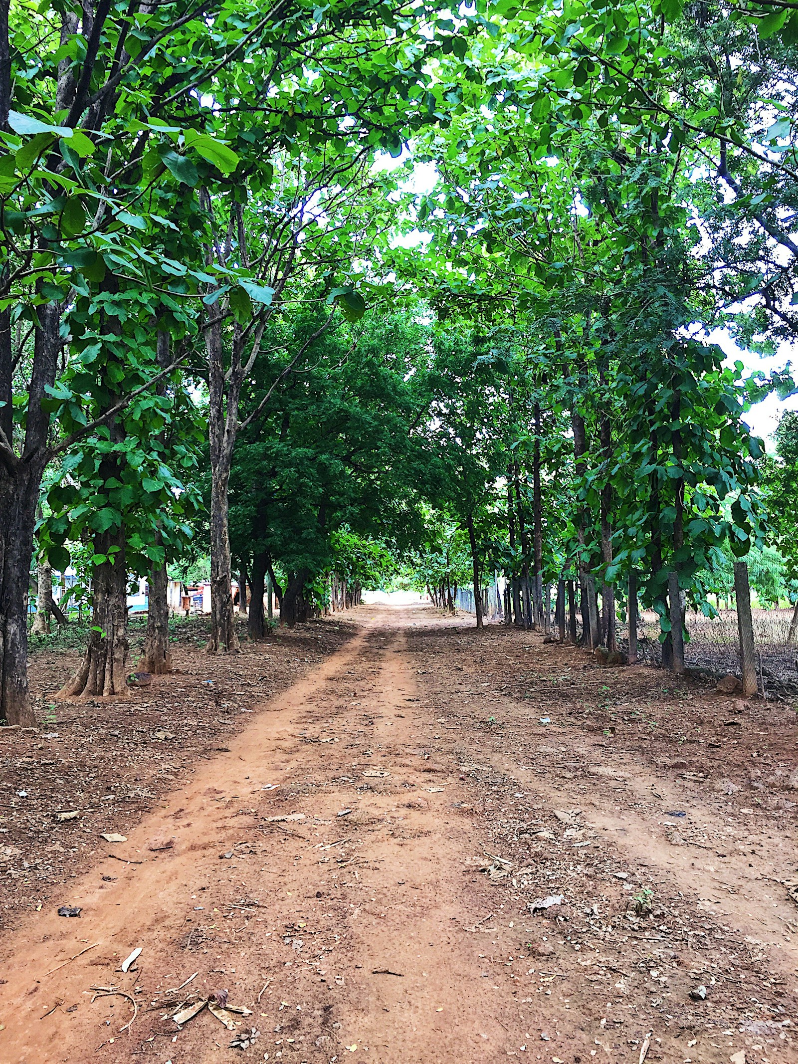 Ghana-based employer — verified on Nkabom