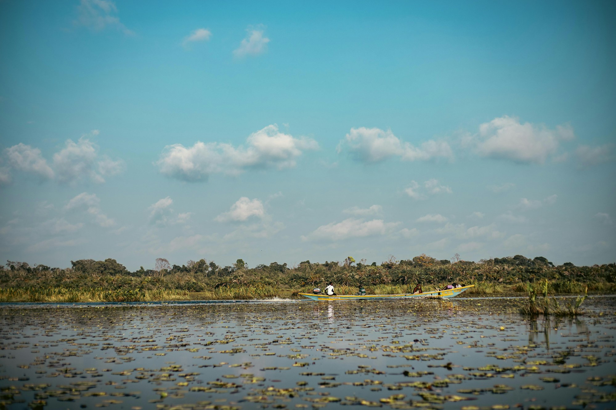 Rural landscape and water in Ghana — representing careers rooted in Ghana’s agri-food economy
