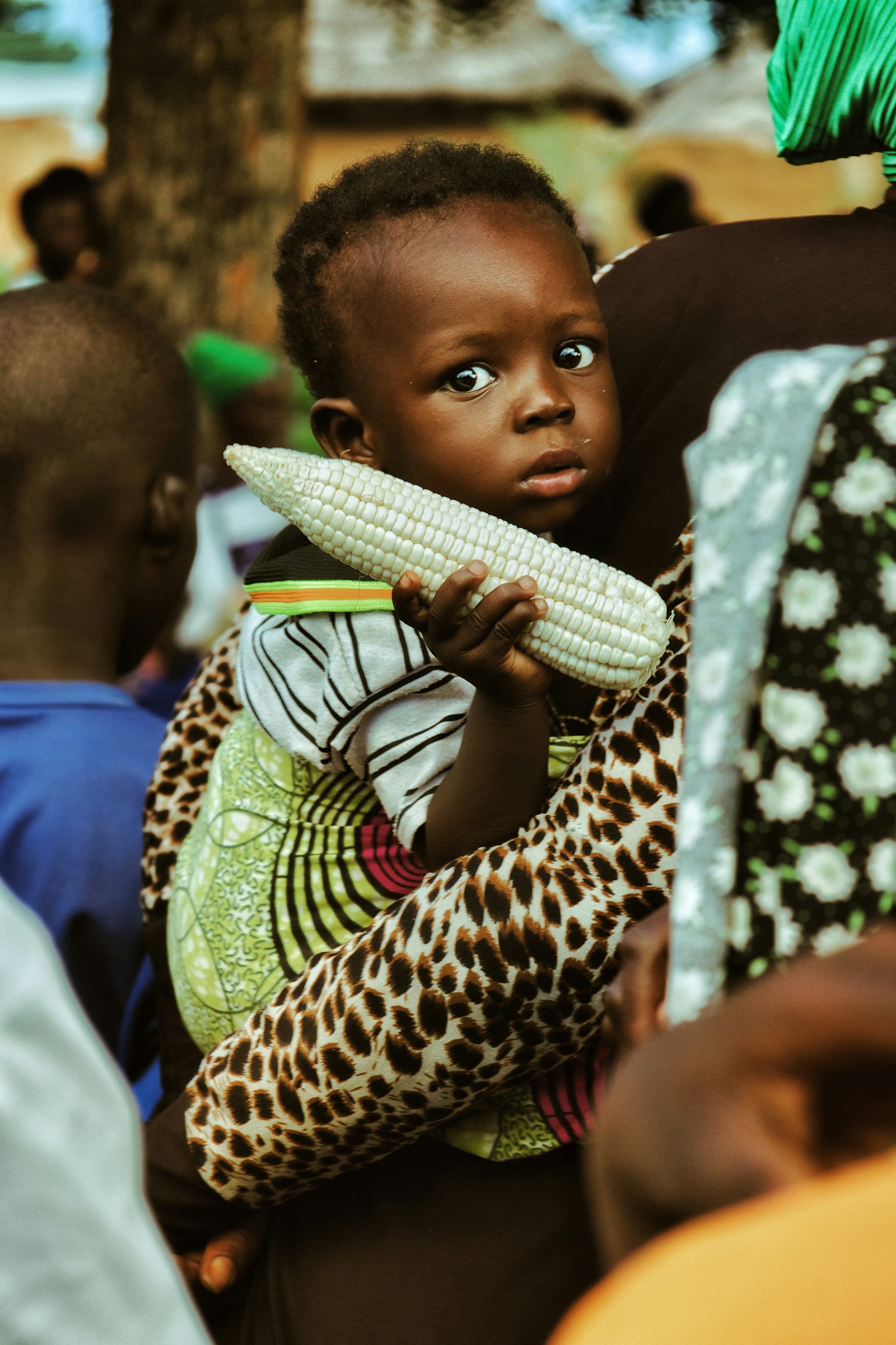 Ghana agri-food sector — roles and workplaces